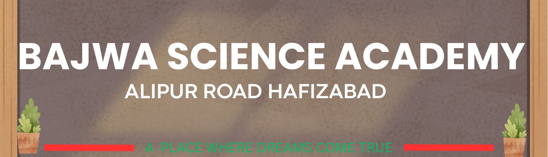 Bajwa Science Academy Hafizabad